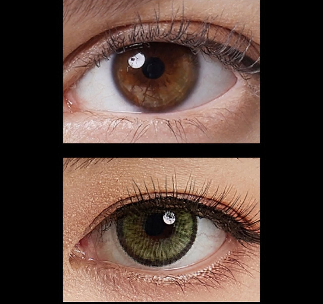 Ever Green Contact Lenses