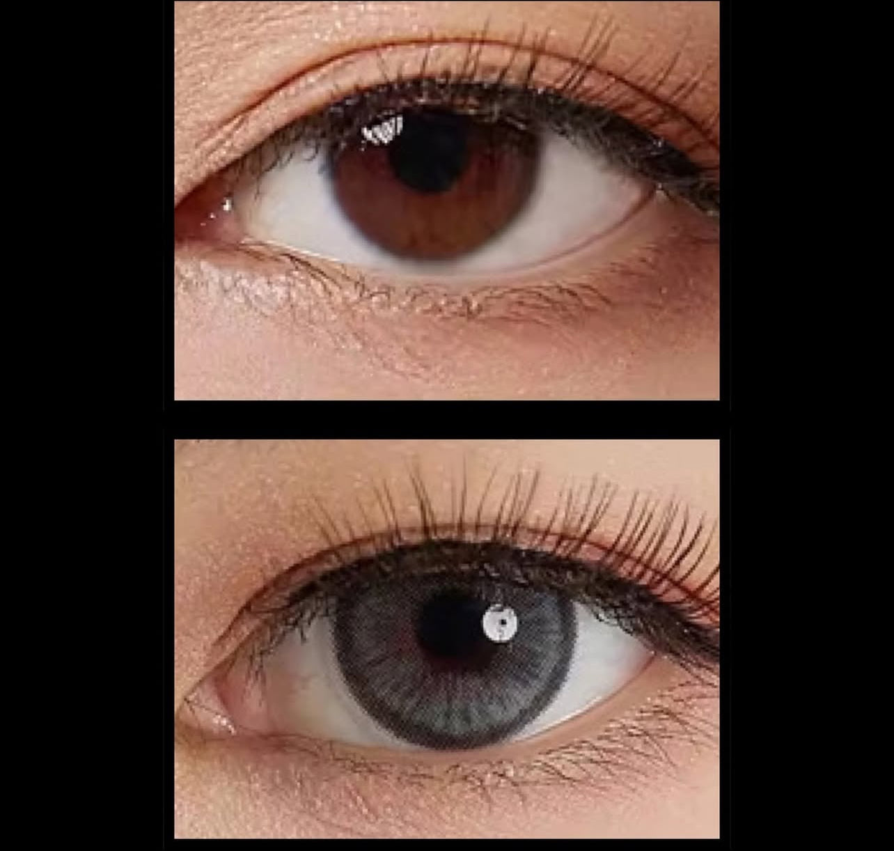 Allure Grey Contact Lenses