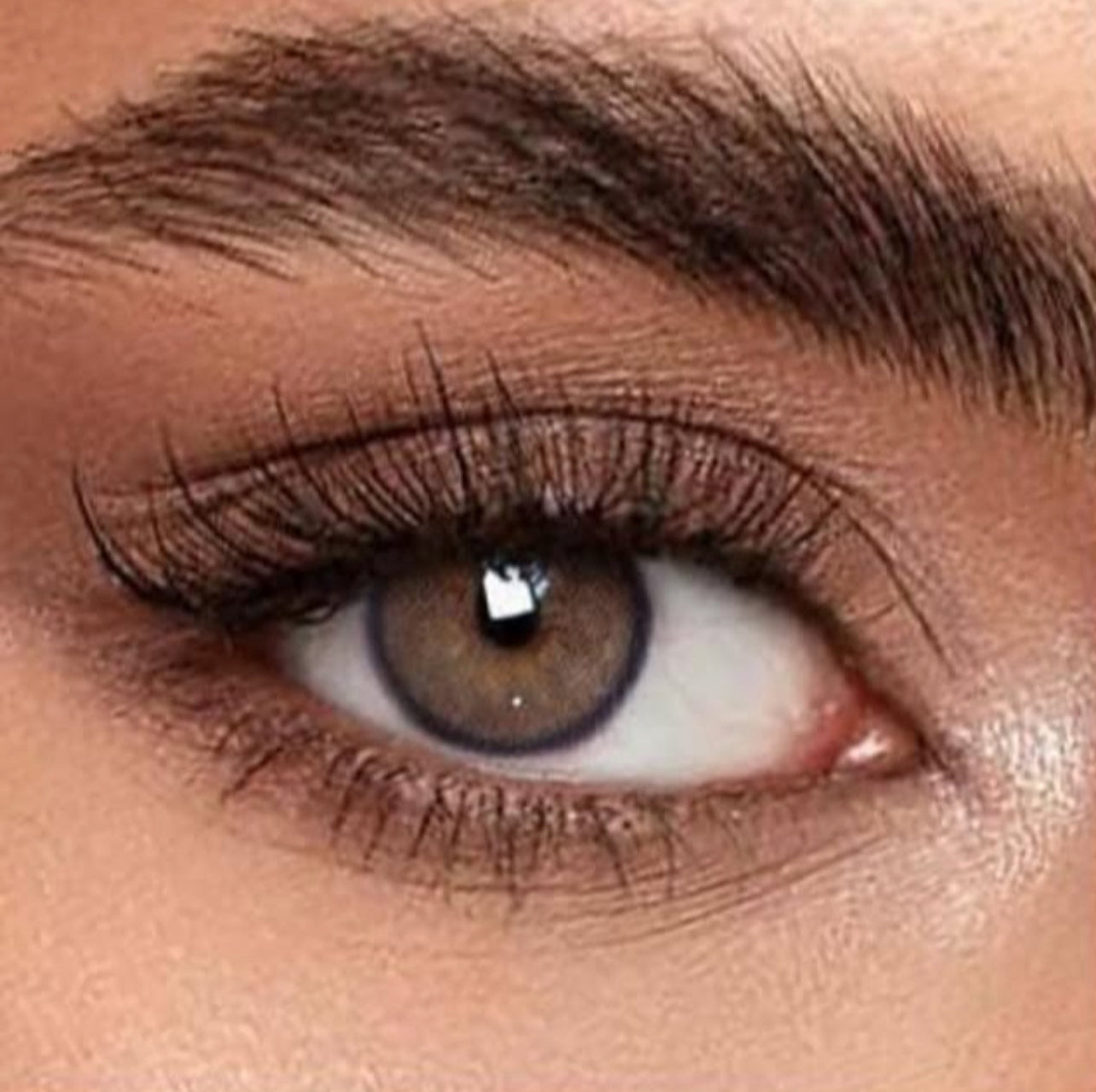 Flare Brown Lenses
