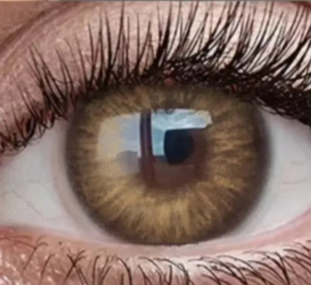 OMG Brown Lenses