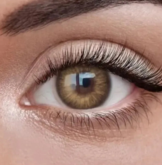 OMG Brown Lenses