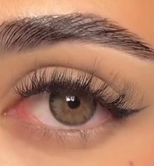 Siri Brown Lenses
